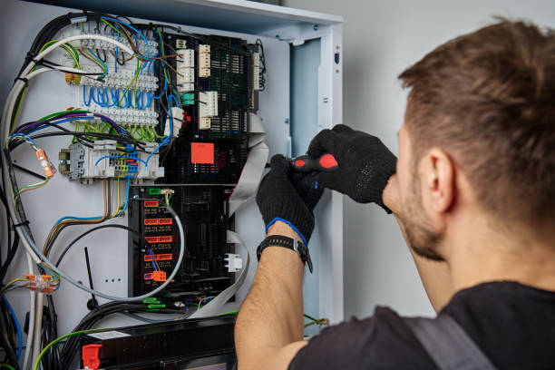 Licensed Electrical Panel Upgrade service in Lacoochee, FL - No Joke electrician
